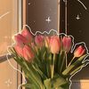 beautycontent17