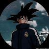 ronaldo_fan5392