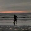 miefguardif0