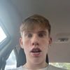 hammerheadshark9