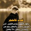 user1449155178369