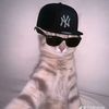 fikri_jr2