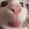 vikacutee