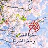 tota.tota5894