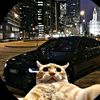 ox_xo939