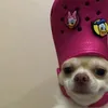 nfirsosbd