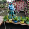 smarsiah8