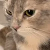 angelmaeeee7