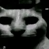 je_re_meh