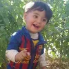 abo._hmd