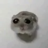 homa_homka30