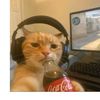 mr_cherry420