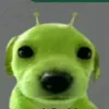 jandzban_scooter