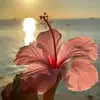 mim_3495