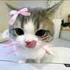 sofealovecats69