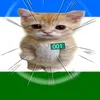 bashkir_cat