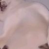 user45225566111927m