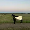 labero_tyla_mitt_allt