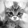 hxnna_super_secret
