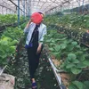 khuyen3537