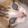 fatima._743