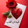 user8800728781013