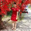 shop hồng my