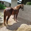 rennan.peixoto4