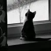 29.2.12