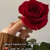 asmr5954