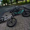 leo_focus_and_cube0