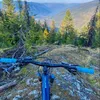 flow_pedals