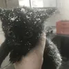 wet1zzz3
