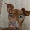 jaysss911