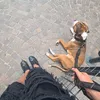gianlu.dipa
