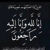 shahen.zrare6