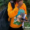 awan.joseph