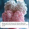 user9994288008550