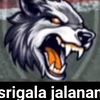 srigalajalanan77
