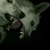 iloveaphextwn