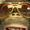 badmonkey99