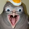 Pigeon.