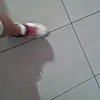 framtarc