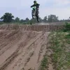 dmledacskis