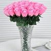 mariagiron539
