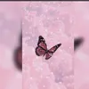 user7709163511172