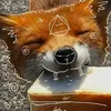 foxyash_0