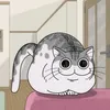 susich_0