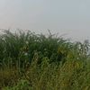 apaiya_339
