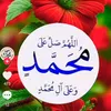 user9068612461410